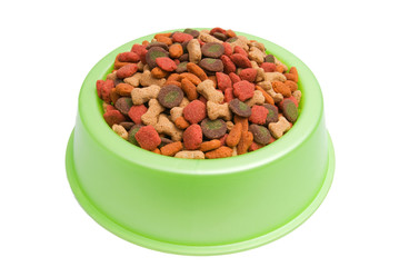 Pet Food Bowl Isolated White on Background