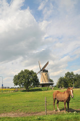 windmill and horse in Dutch landscape