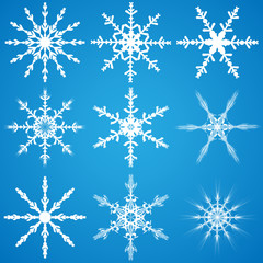 Fototapeta na wymiar set of nine vector snowflakes. Elements for desing