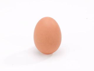 A single brown chicken egg  on clean white background