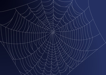Spideweb illustration
