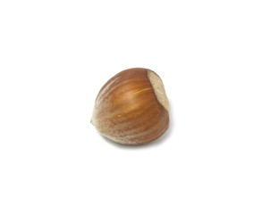 hazel nut isolated over the white background