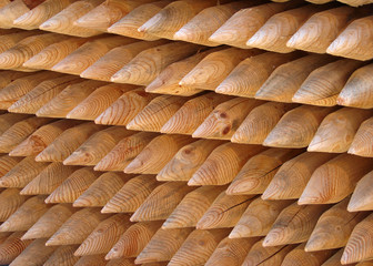 Holzpfähle