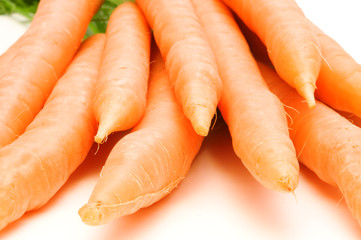 fresh carrots on white background