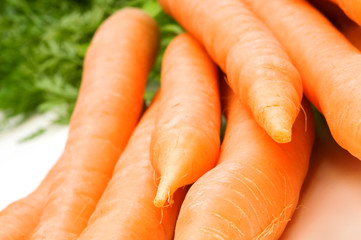 fresh carrots on white background