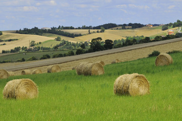 after the harvest