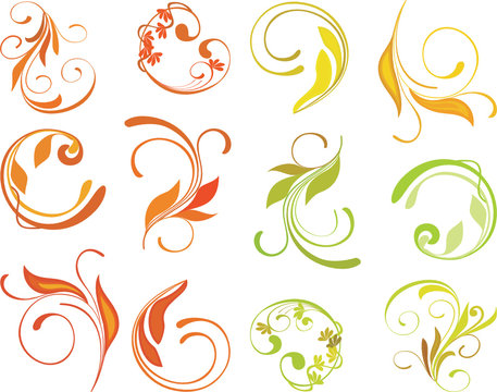 curled floral elements for design