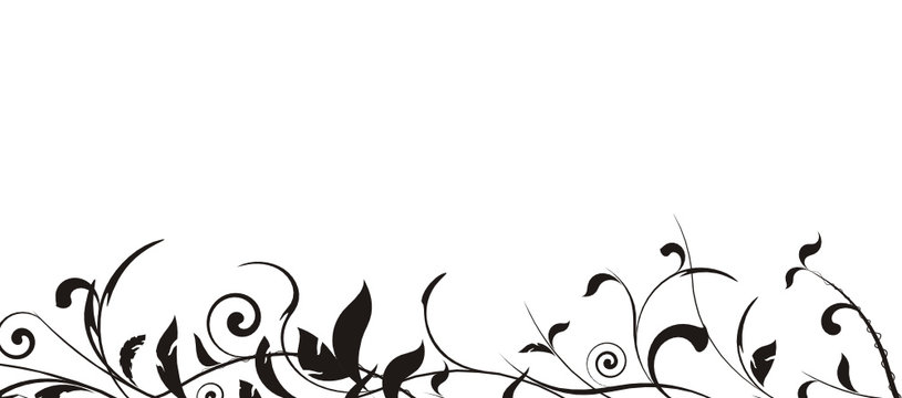 vecteur s&eacute;rie - design floral bordure