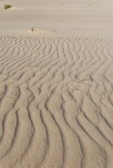 Dunes de sable de Coralejo - Fuerteventura