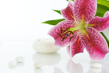 Spa feeling (flower, candle and white stones). White background