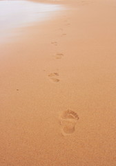 Fototapeta na wymiar trace sur sable