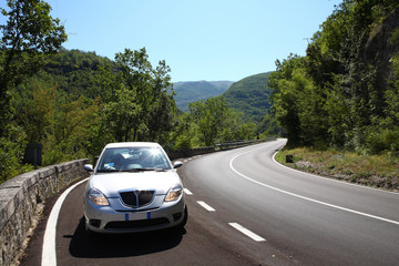 mountain road in the woods