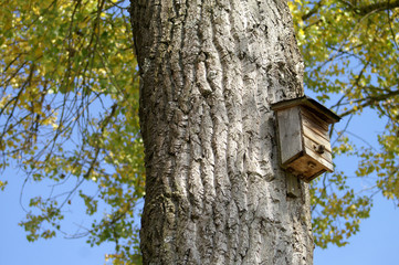 Vogelhaus am Baum