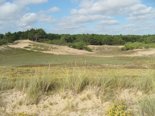 Dunes de sable