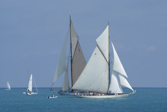 Sailing boats during a regatta ("Les voiles d'Antibes").