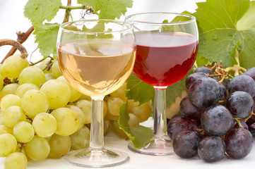 Glass white and red wine with autumn fruits