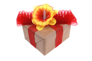 package with ribbon and flower isolated on white background