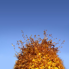 Im Wandel der Jahreszeit