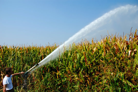 Irrigazione