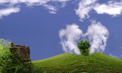 Fototapeta premium écologie