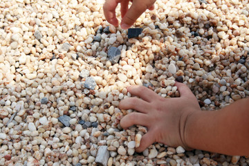 Hands of a child picking and sorting out small stones