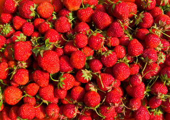 A close-up of the berries of strawbwrry.