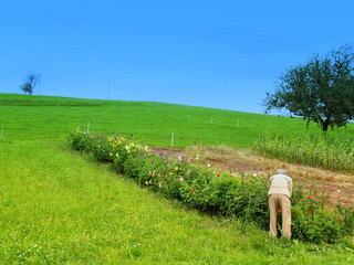 l'ultime labeur