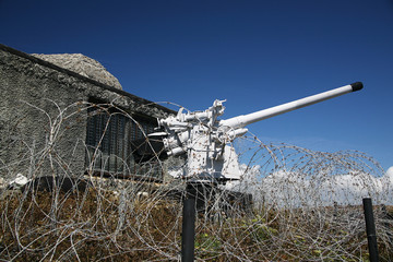 cannone