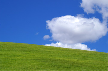 Fototapeta na wymiar ciel bleu sur une colline verte