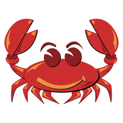 Seafood. Shellfish. Crab illustration isolated over white.
