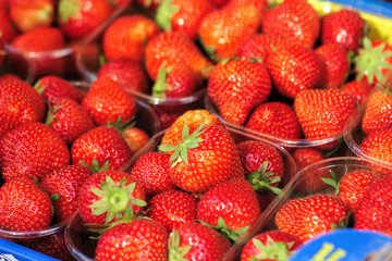 Fresh ripe strawberry on market