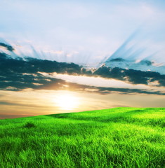 Green field on sunrise
