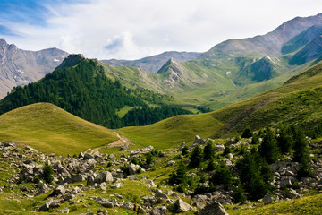 Fototapeta na wymiar Spośród Hautes-Alpes (Col de Vars)