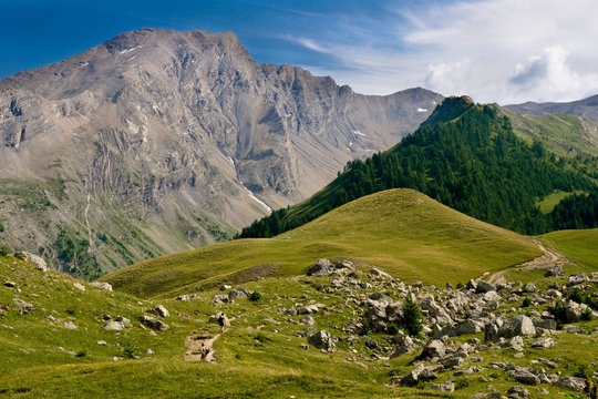 Fototapeta Paysage des Hautes-Alpes (Col de Vars)