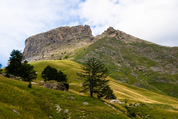 Fototapeta na wymiar Paysage alpin (Mercantour)
