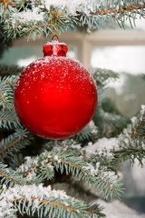 Bright red Christmas bauble on tree with snow