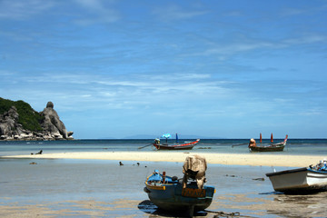 Ebbe