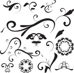 Vector floral shapes and ornaments