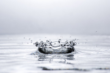 Goutte d'eau noir & blanc