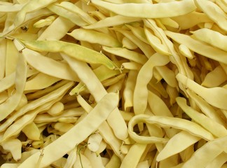 yellow large-sized beans