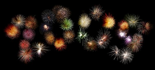 Bonne année 2009 !