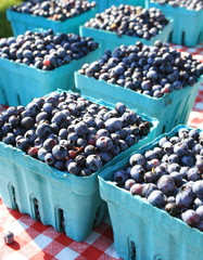 Fresh Blueberries, just picked