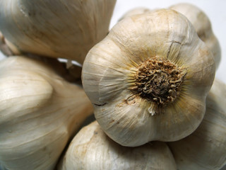 garlic