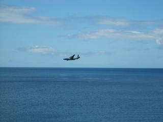 <Digimax S500 / Kenox S500 / Digimax Cyber 530>