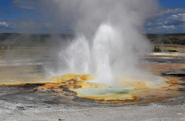 The scenery of Lower Geyser Basin in Yellowstone