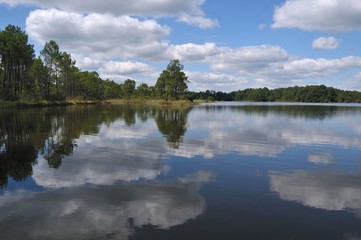 Fototapeta na wymiar lac et forêt 1