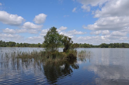 lac et for&ecirc;t 3