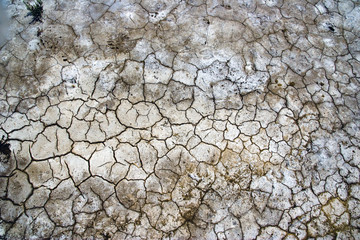 Dry ground texture
