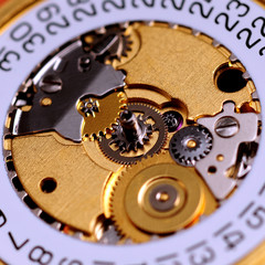 Watch Mechanism