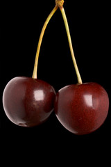 Two sweet cherries hanging isolated on black